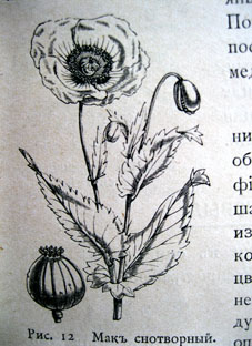 Атлас