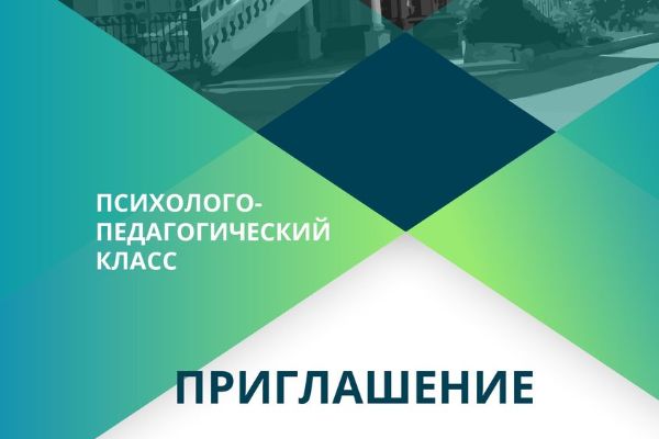 Областной вебинар по профильному обучению