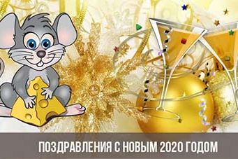 С НОВЫМ ГОДОМ!!!