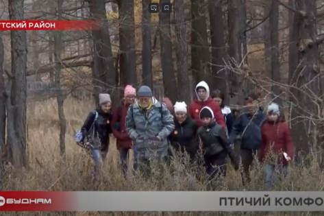 Проект «Дом для птиц своими руками»
