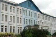 Педагогическая практика выпускников: проверка на прочность и планы на будущее